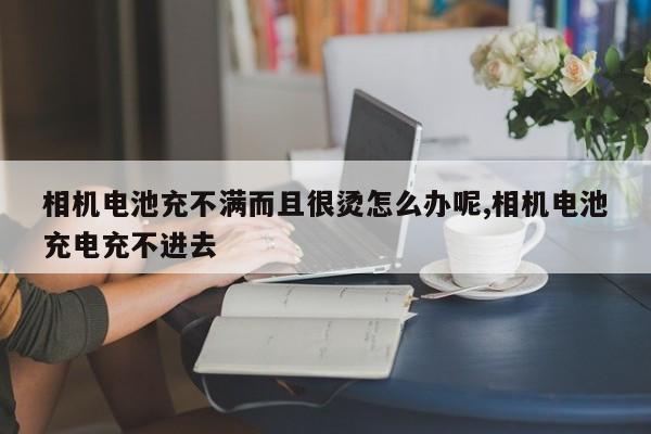 相机电池充不满而且很烫怎么办呢,相机电池充电充不进去